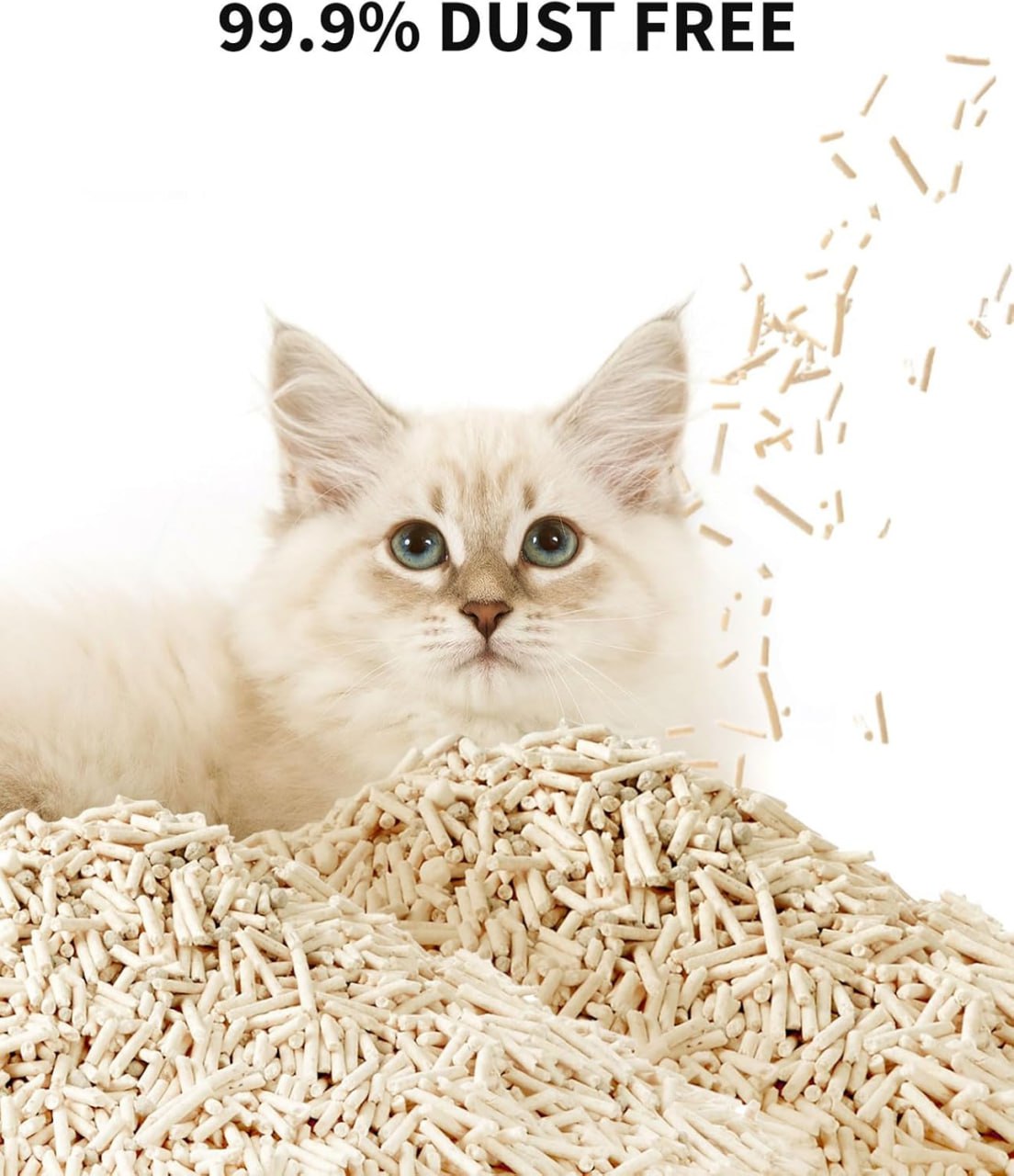 PETKIT Occult Blood Test Mix Cat Litter