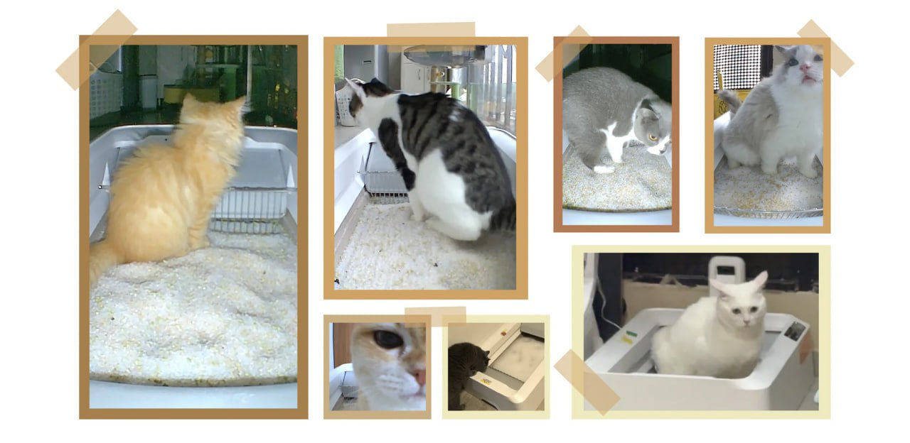 Purobot Crystal Duo Automatic Cat Litter Box with Camera