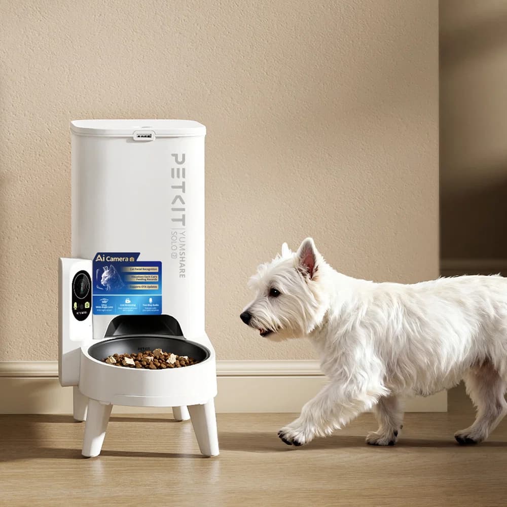 A small dog walks toward the YumShare Solo 2 with AI Camera Pet Feeder.
