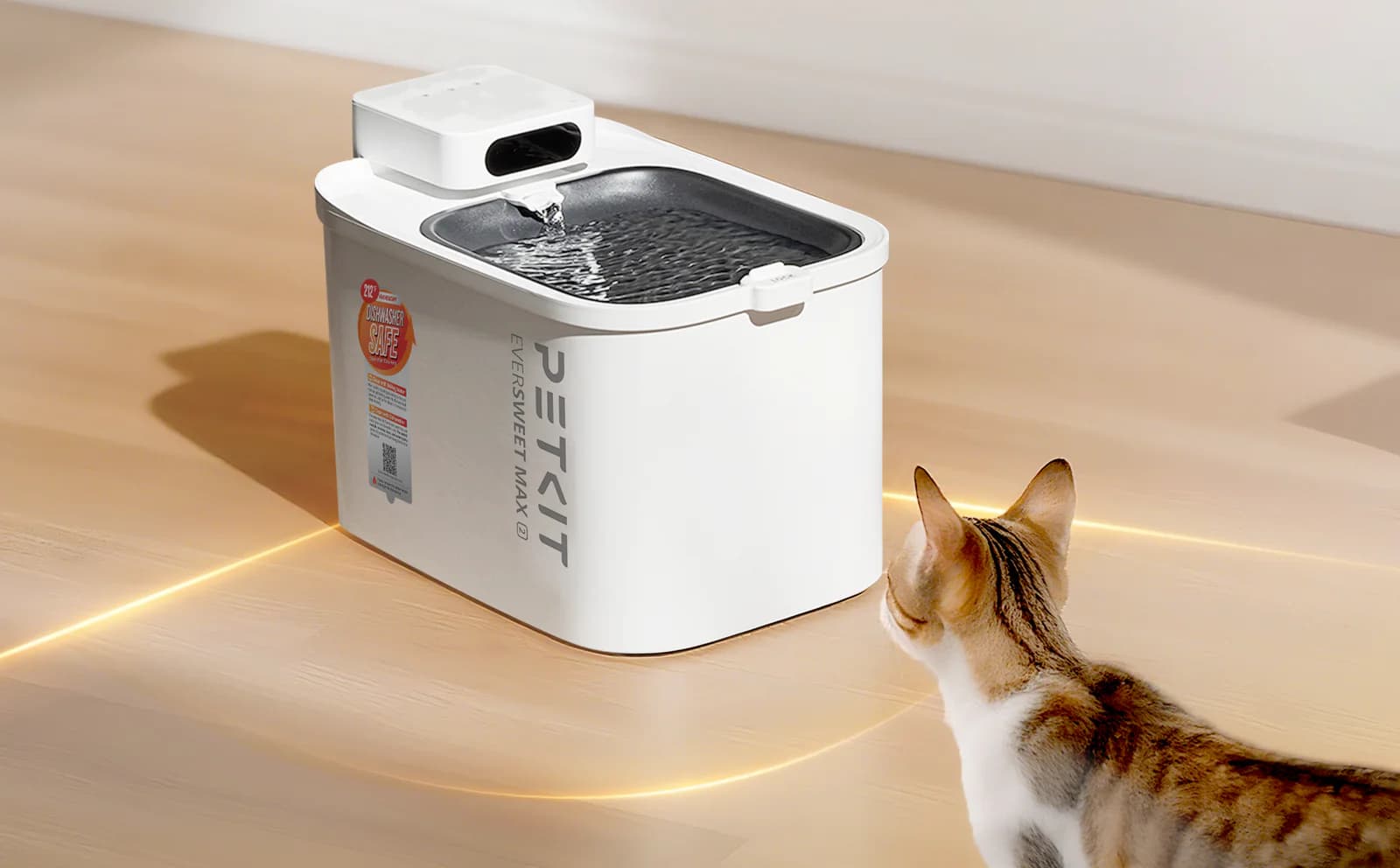 Cat Not Drinking Enough Water? 7 Signs of Dehydration, At-Home Checks, and Prevention Tips