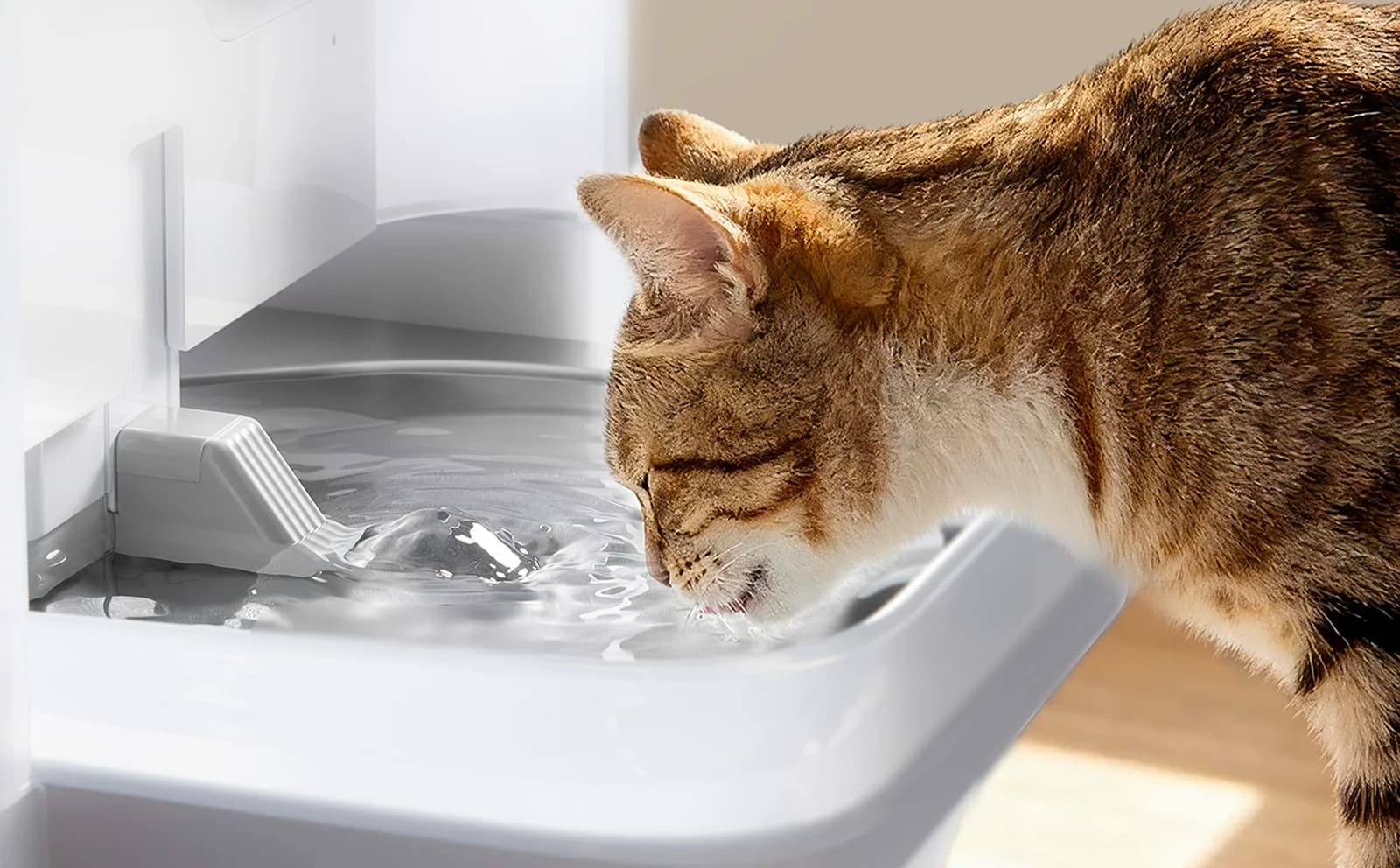 Is an Automatic Cat Water Fountain Worth Buying?