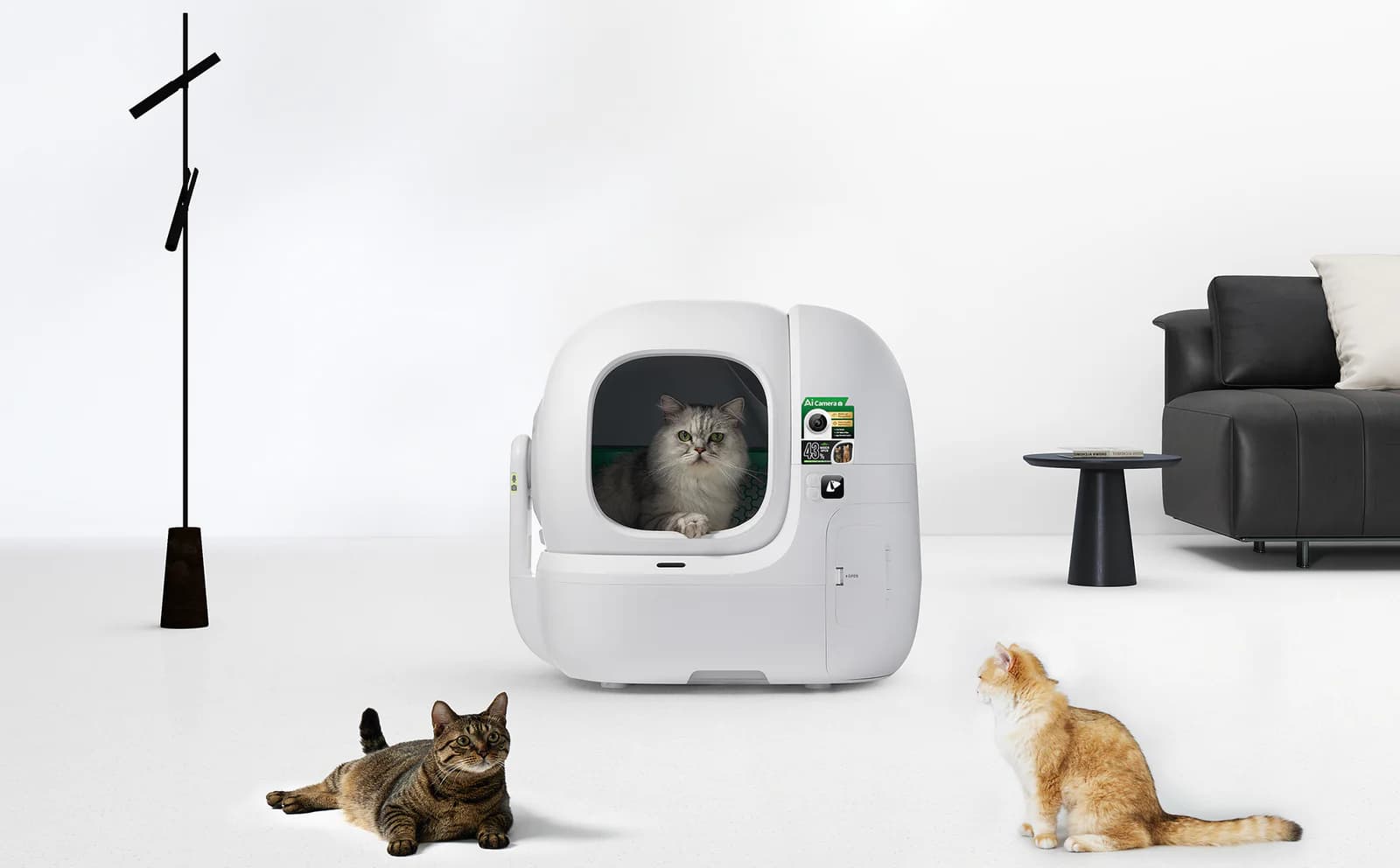 The Best Automatic Litter Box for Apartments: 2026 Odor Control Guide