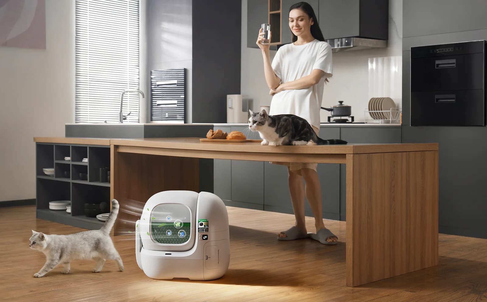 Why Litter Boxes Smell and How Automatic Cat Litter Boxes Control Odor