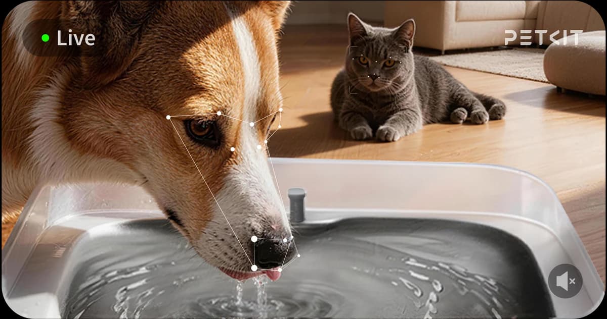 AI camera monitoring a cat drinking