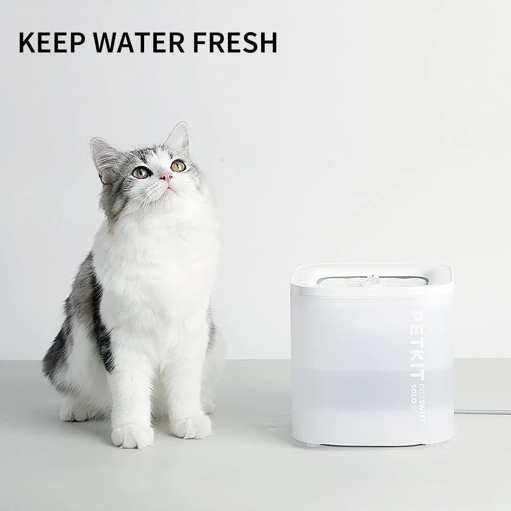 EverSweet Solo SE Pet Water Fountain — product image 2