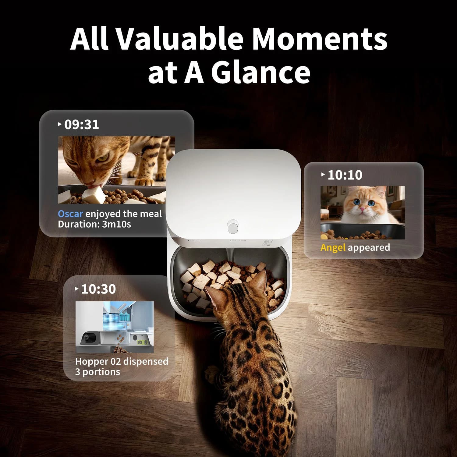YumShare Dual-hopper 2 Automatic Feeder with Camera — product image 4