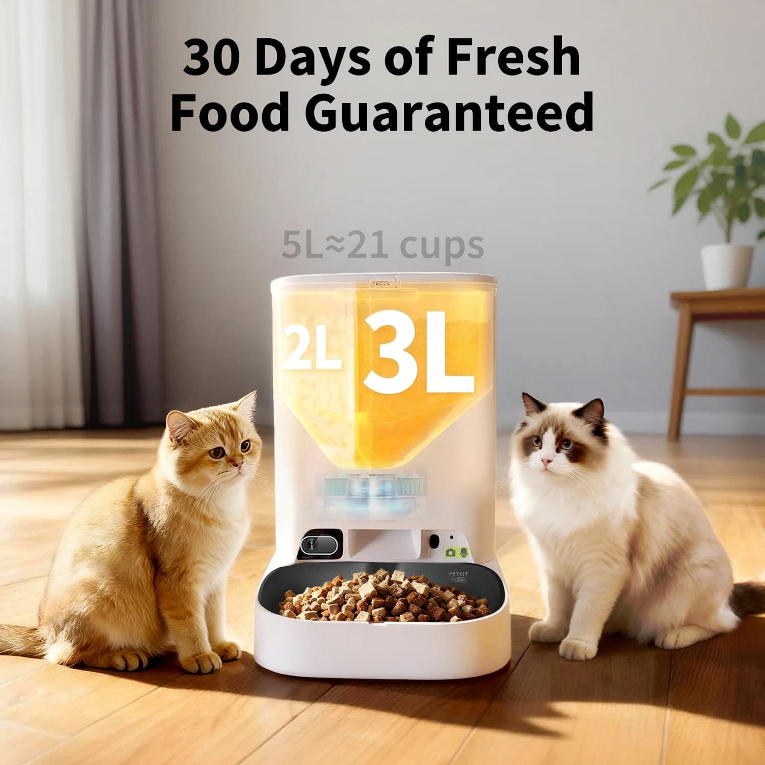 YumShare Dual-hopper 2 Automatic Feeder with Camera — product image 7