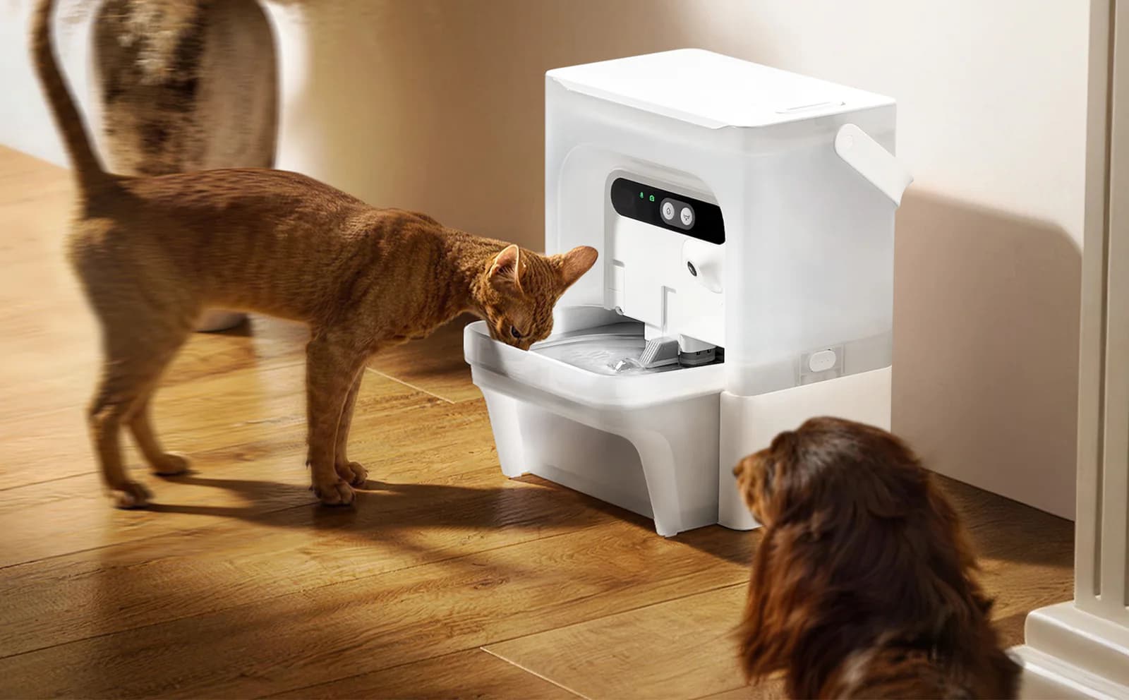 The Best Automatic Cat Water Fountain for Multi-Cat Households