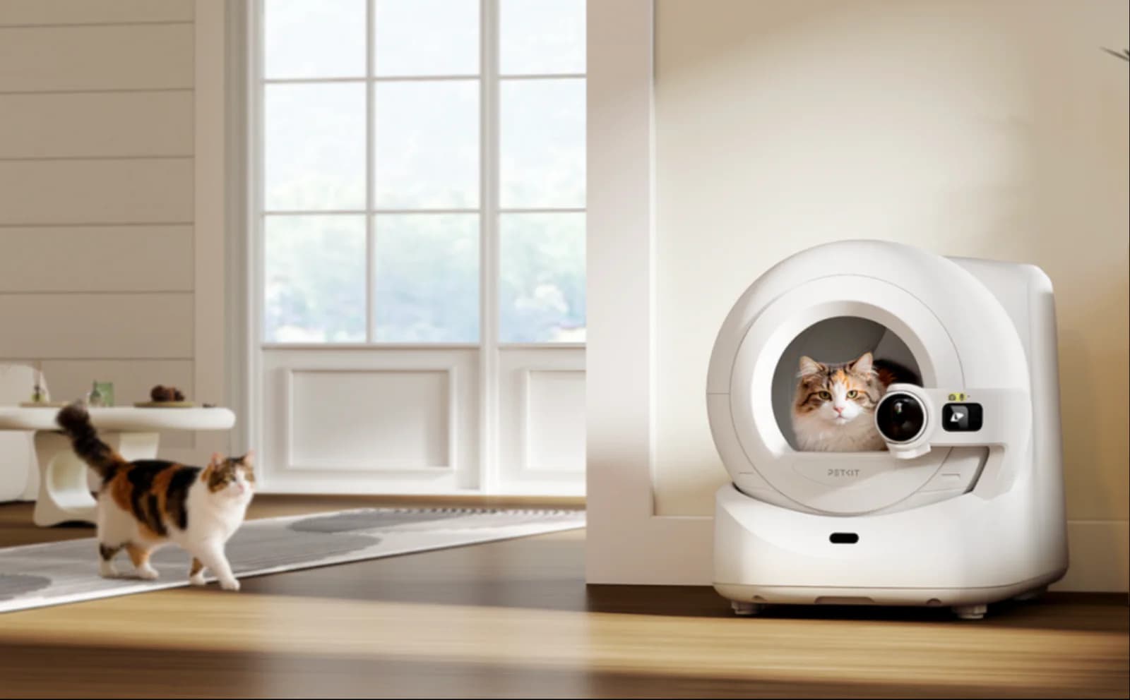 Are Automatic Cat Litter Boxes Worth It? Complete Review and Guide