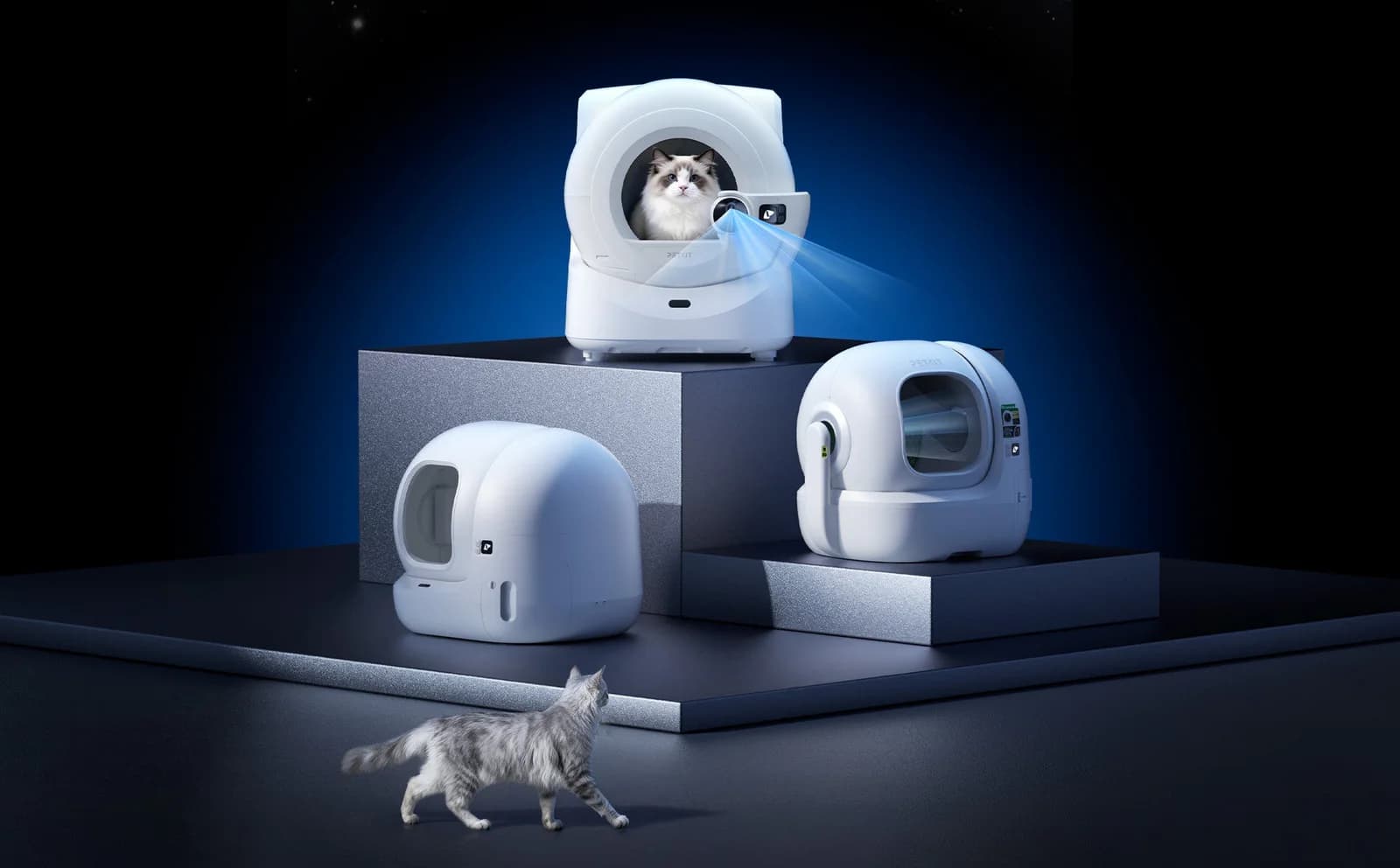 The Best Automatic Litter Boxes 2026: 8 Must-Have Features and Top Picks