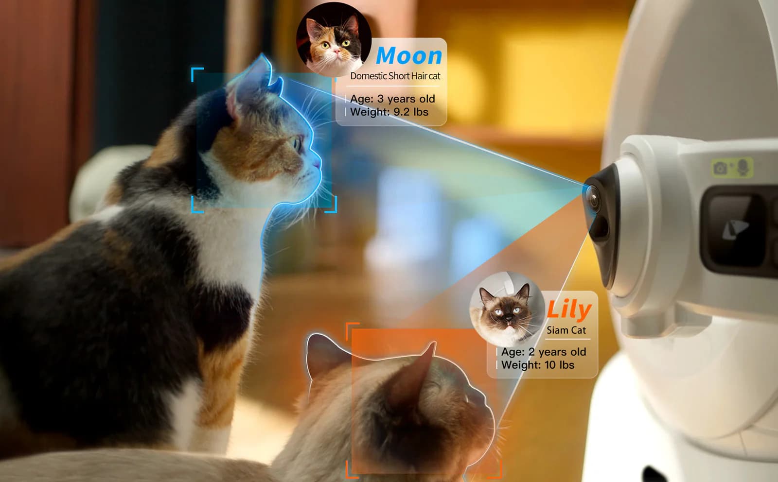 How to Choose the Best Automatic Litter Box for Multi-Cat Households: 2026 Complete Guide