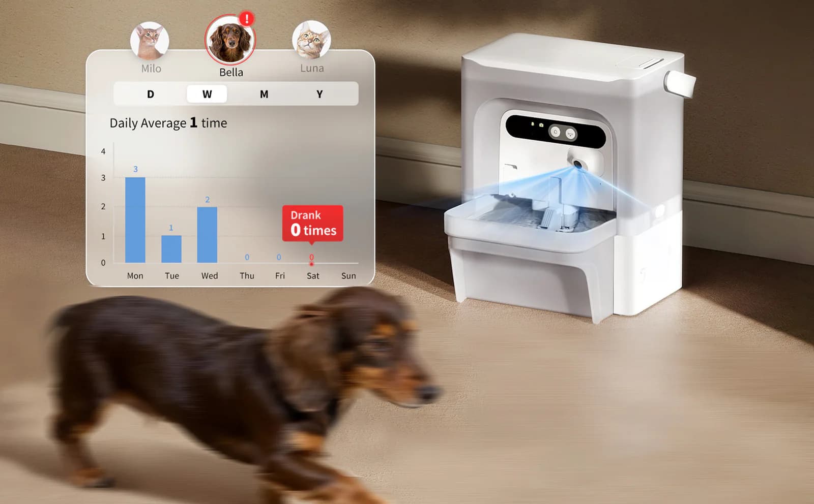 Which Is the Best Automatic Cat Water Fountain in 2026?