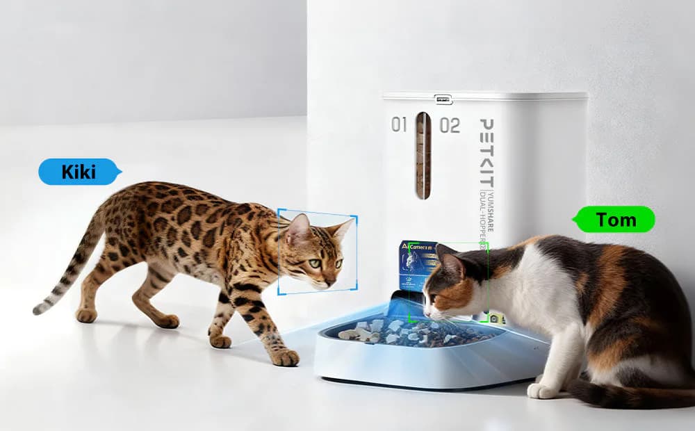 Introducing YUMSHARE DUAL-HOPPER 2: The AI Pet Feeder That Tracks Every Cat and Sees Every Meal