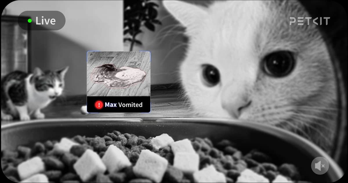 AI camera monitoring a pet feeder