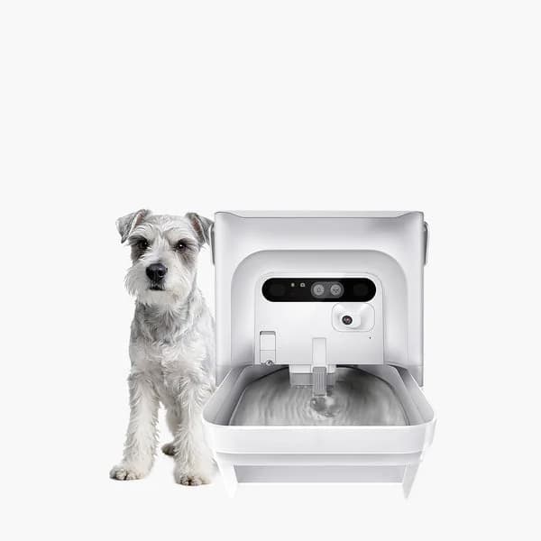 Premium smart water fountain collection