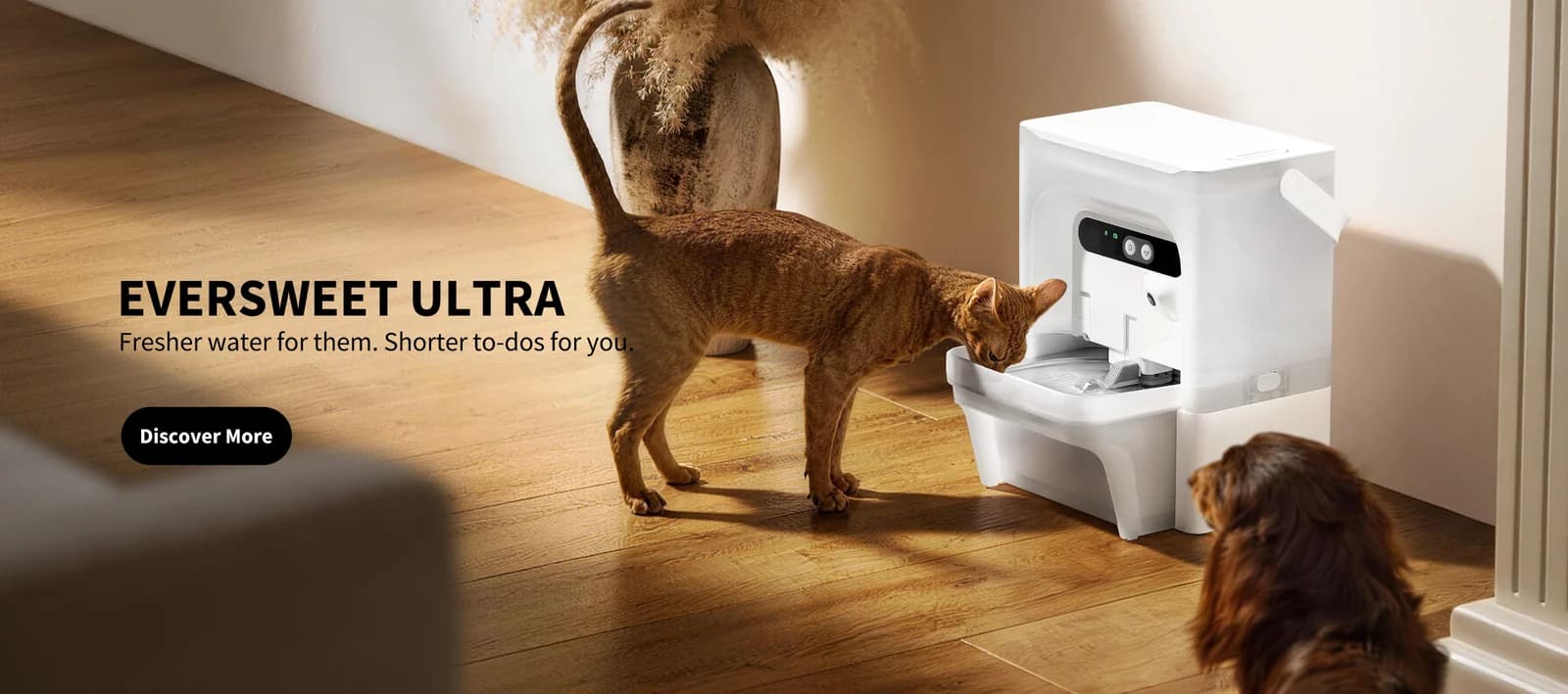 Cat drinking from a white Eversweet Ultra pet water fountain on a wooden floor.
