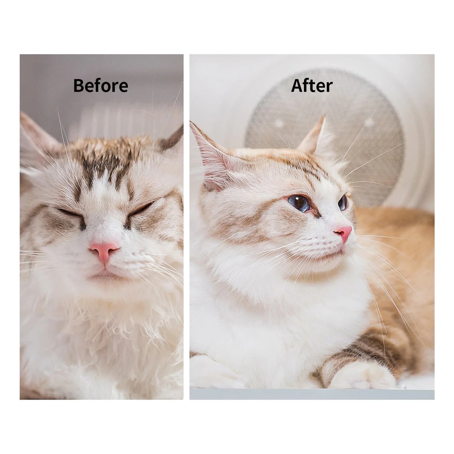 AirSalon Max Pro Pet Dryer Box — product image 3