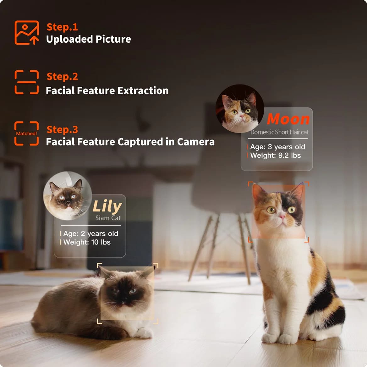 Purobot Ultra multi-cat AI facial recognition
