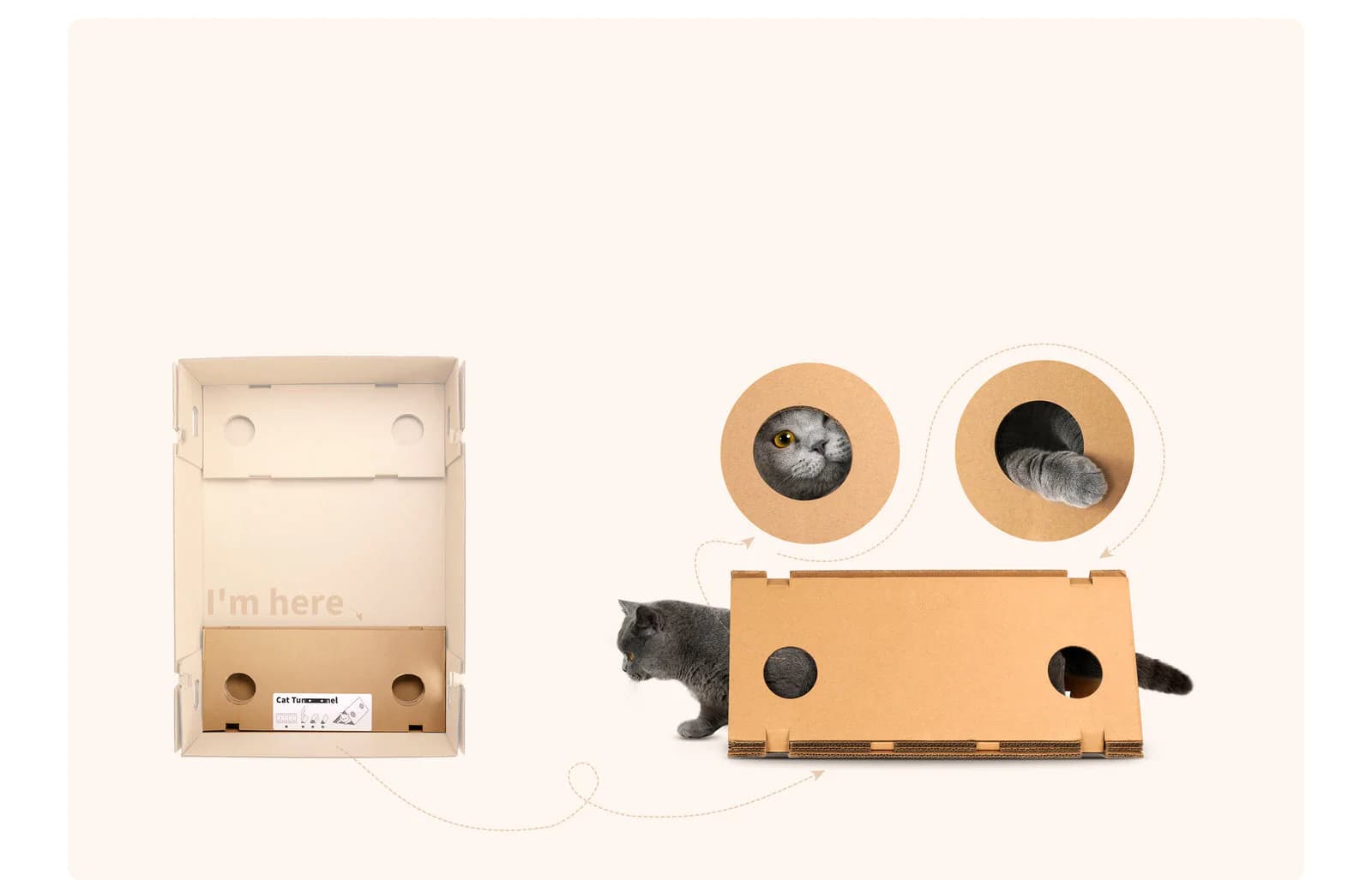 Purobot Ultra packaging transformed into a cat tunnel