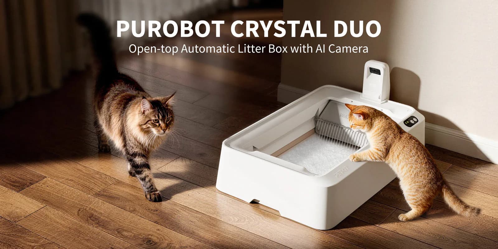 Purobot Crystal Duo open-top automatic litter box with AI camera