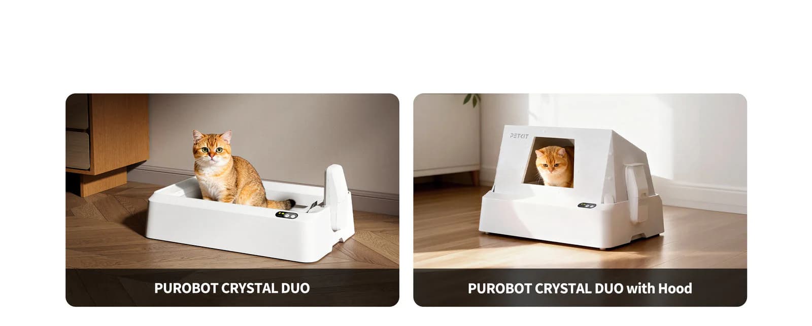 Purobot Crystal Duo open-top and hooded versions