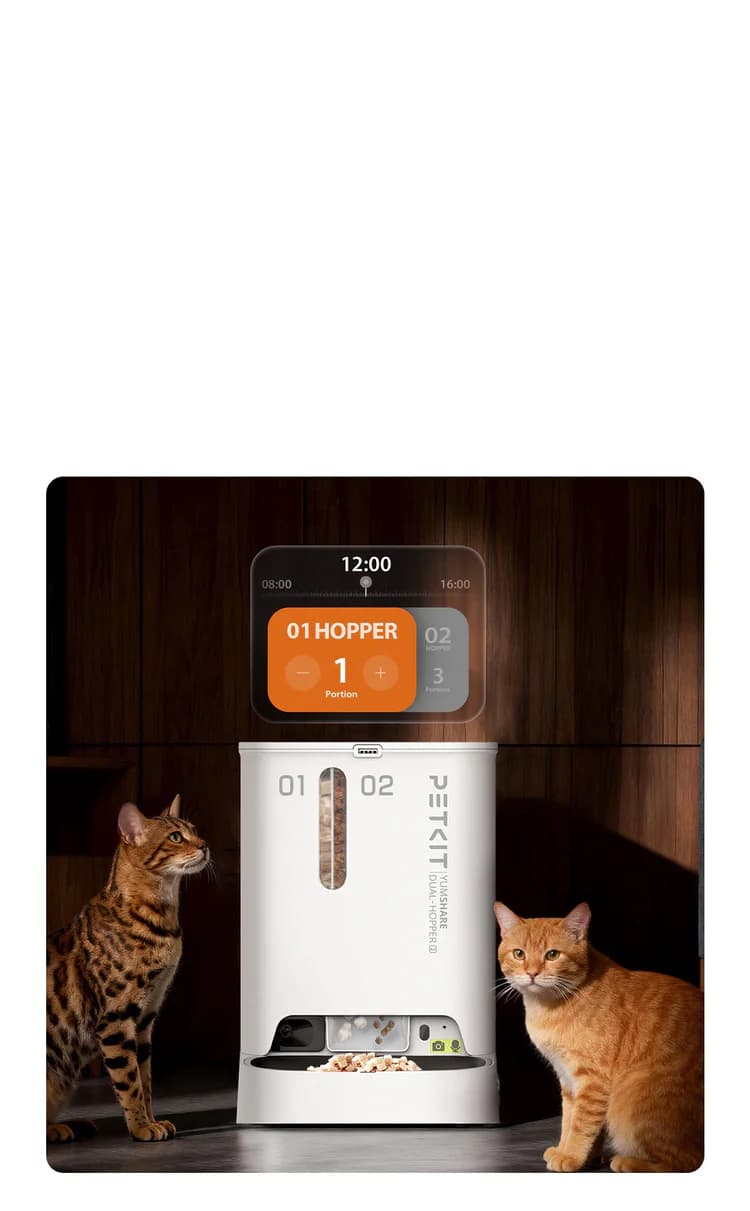 YumShare dual food compartments for balanced diets