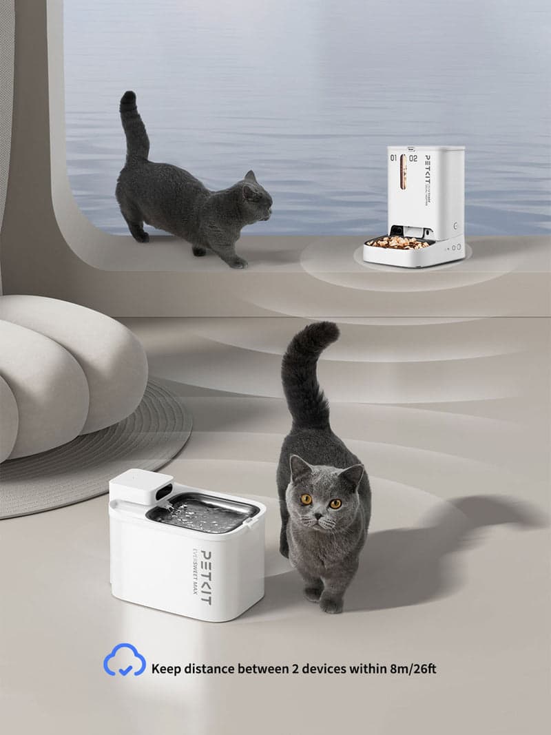 Premium Smart Water Fountain