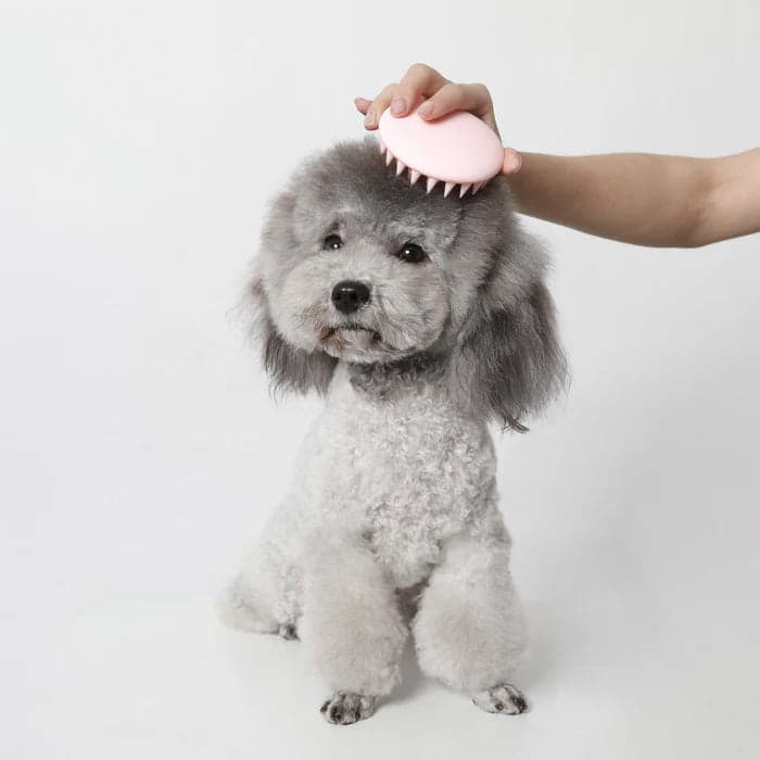 PETKIT Everclean Massage Comb Cat Massage Comb Dog Massage Comb
