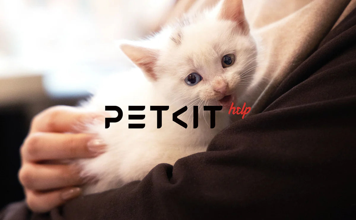 PETKIT HELP: Innovate for Impact