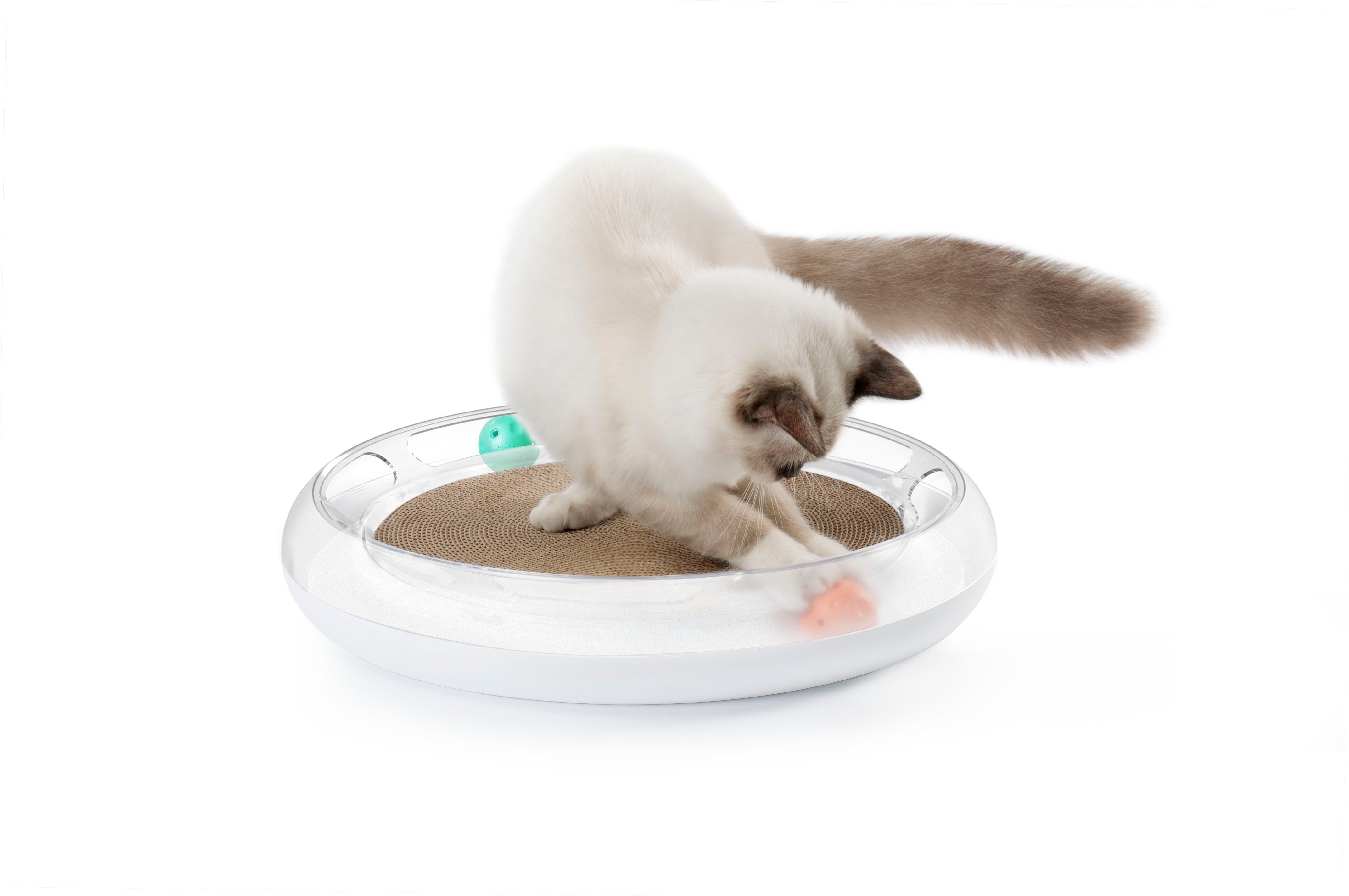 PETKIT 4 in 1 Fun Cat Scratching Toy