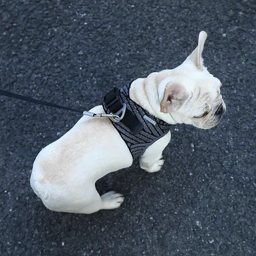 PETKIT AIR Fly Dog Harness