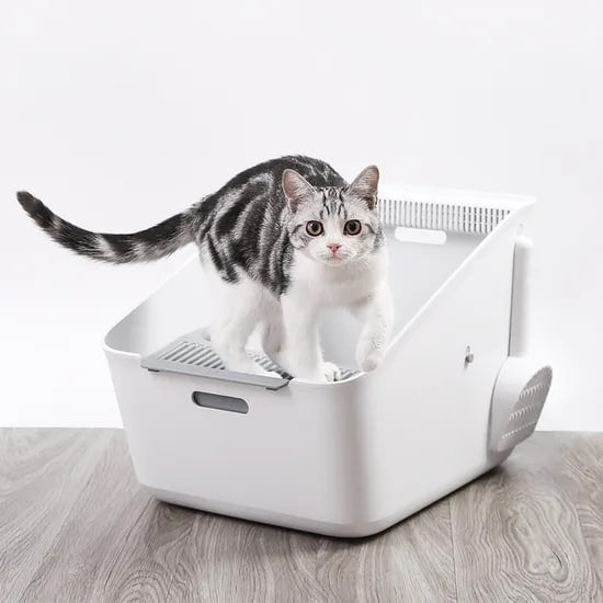 PETKIT Pura Cat Motion Sensored & Odor Eliminating Air Purified Smart Cat Litter Box