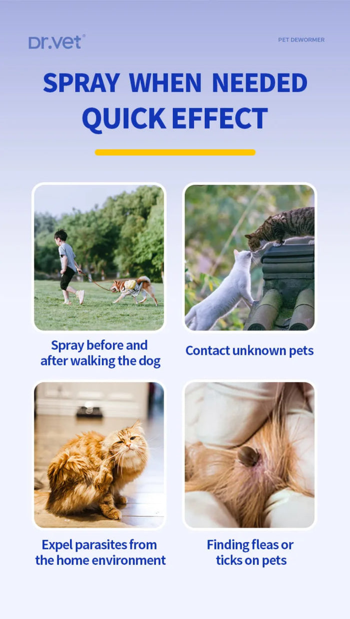 Photo inspiration: Cat Flea Treatment For Chronic Tick Infestation Reference: Dr Vet Fipronil Spray Treatment Of Flea Lice And Tick