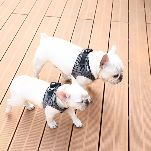 PETKIT AIR Fly Dog Harness