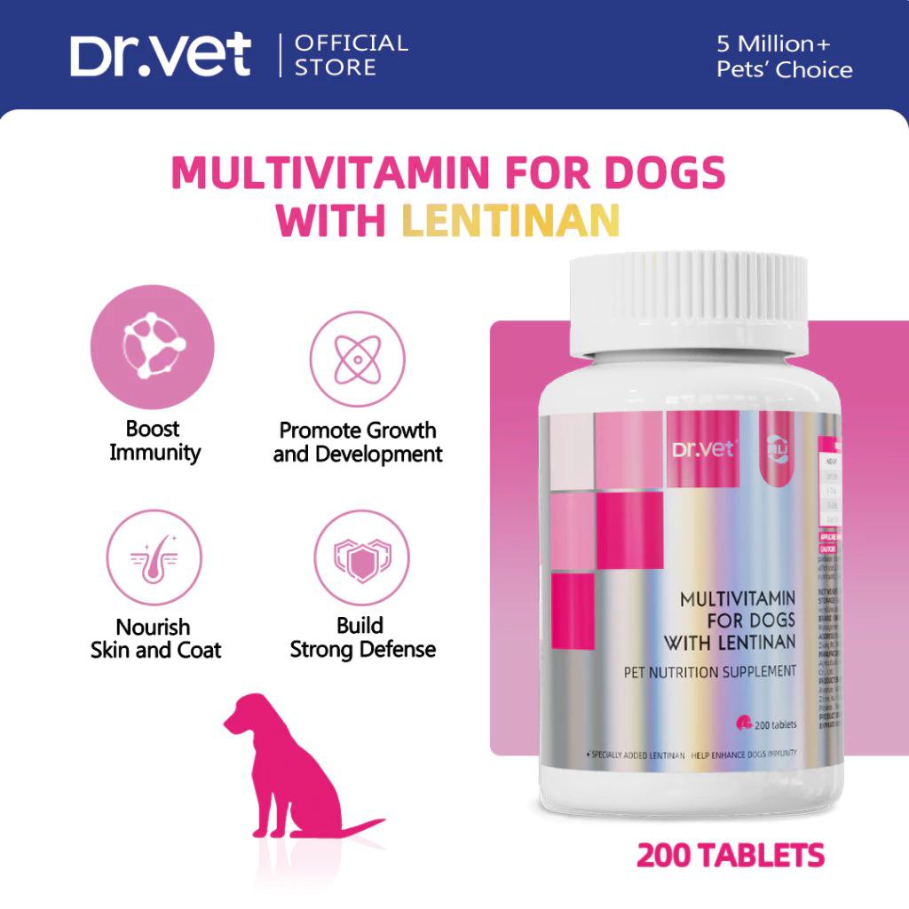 DR. VET Multivitamin for Dogs with Lentinan (200 Tablets)