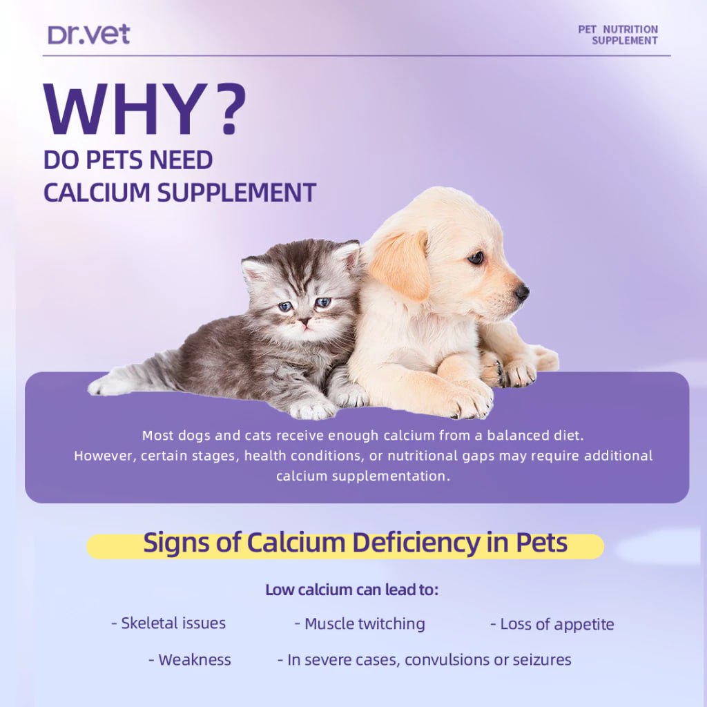 Dr.Vet Pet Calcium Tablets For Cats And Dogs (200 Tablets)