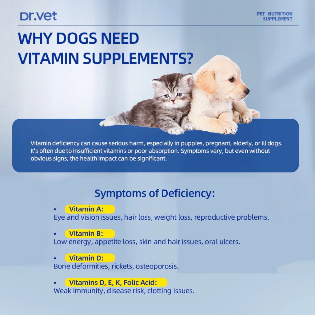 DR. VET Multivitamin for Dogs with Lentinan (200 Tablets)