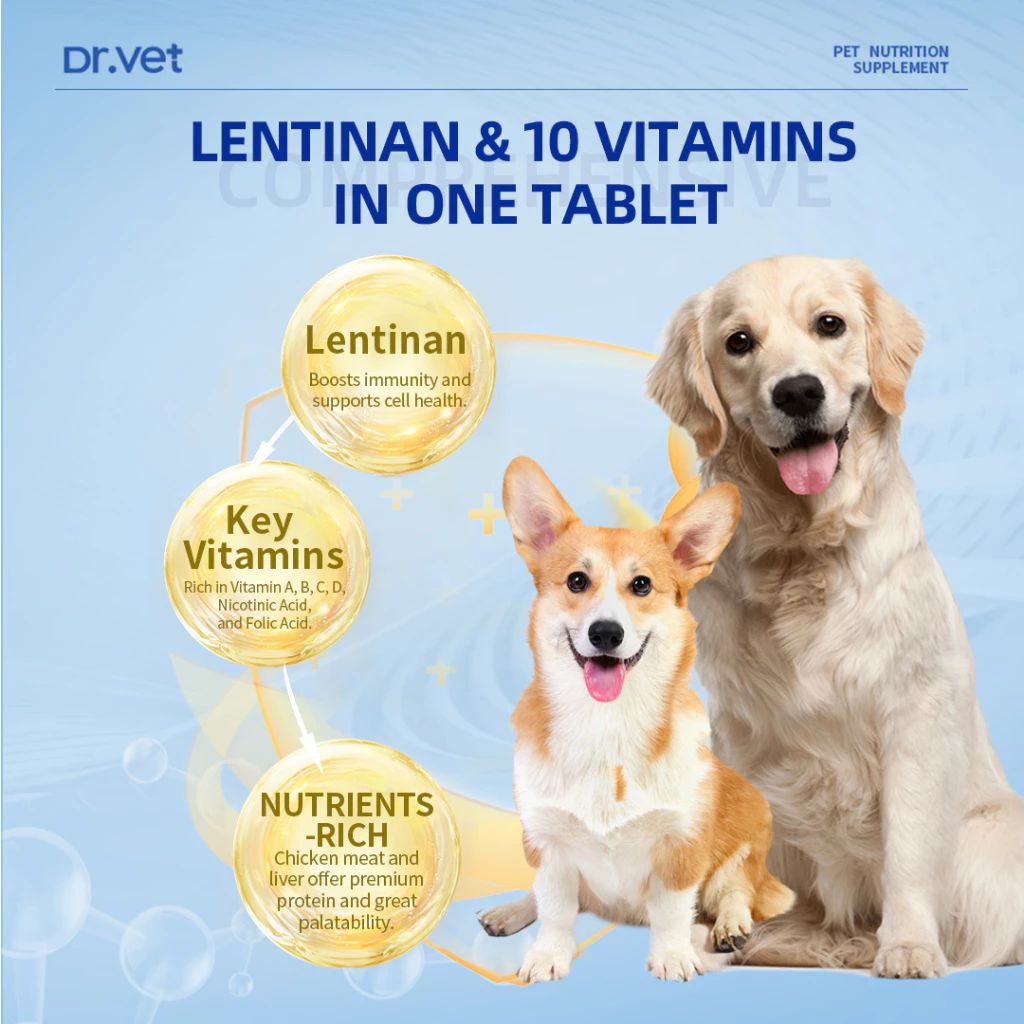 DR. VET Multivitamin for Dogs with Lentinan (200 Tablets)