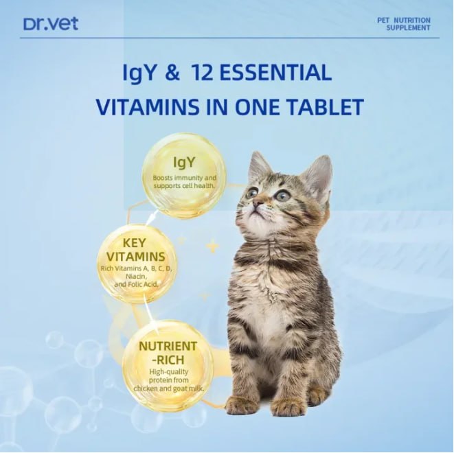 DR. VET Multivitamin for Cats with IgY (200 Tablets)