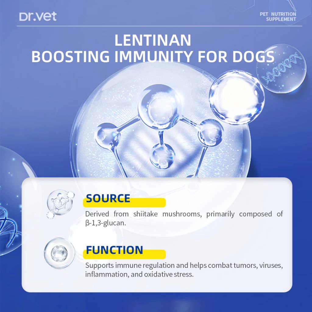 DR. VET Multivitamin for Dogs with Lentinan (200 Tablets)