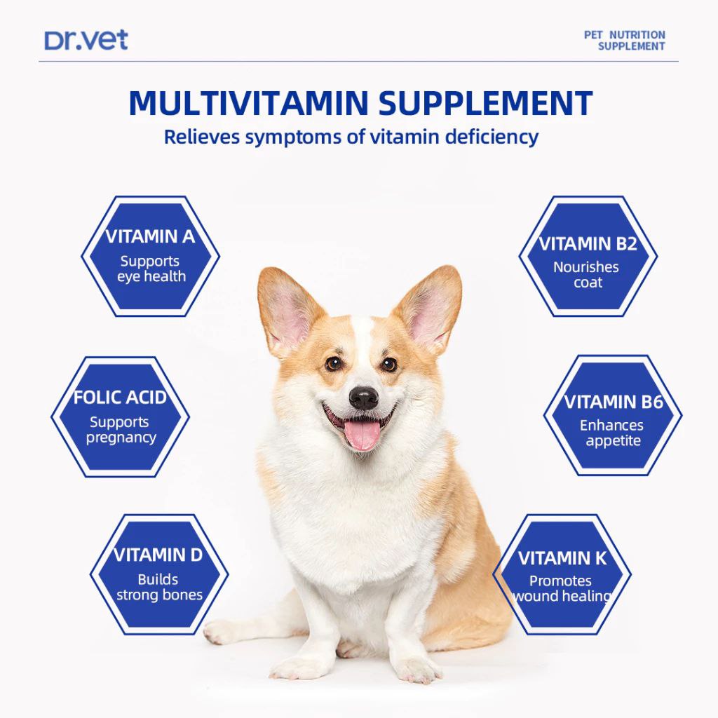 DR. VET Multivitamin for Dogs with Lentinan (200 Tablets)