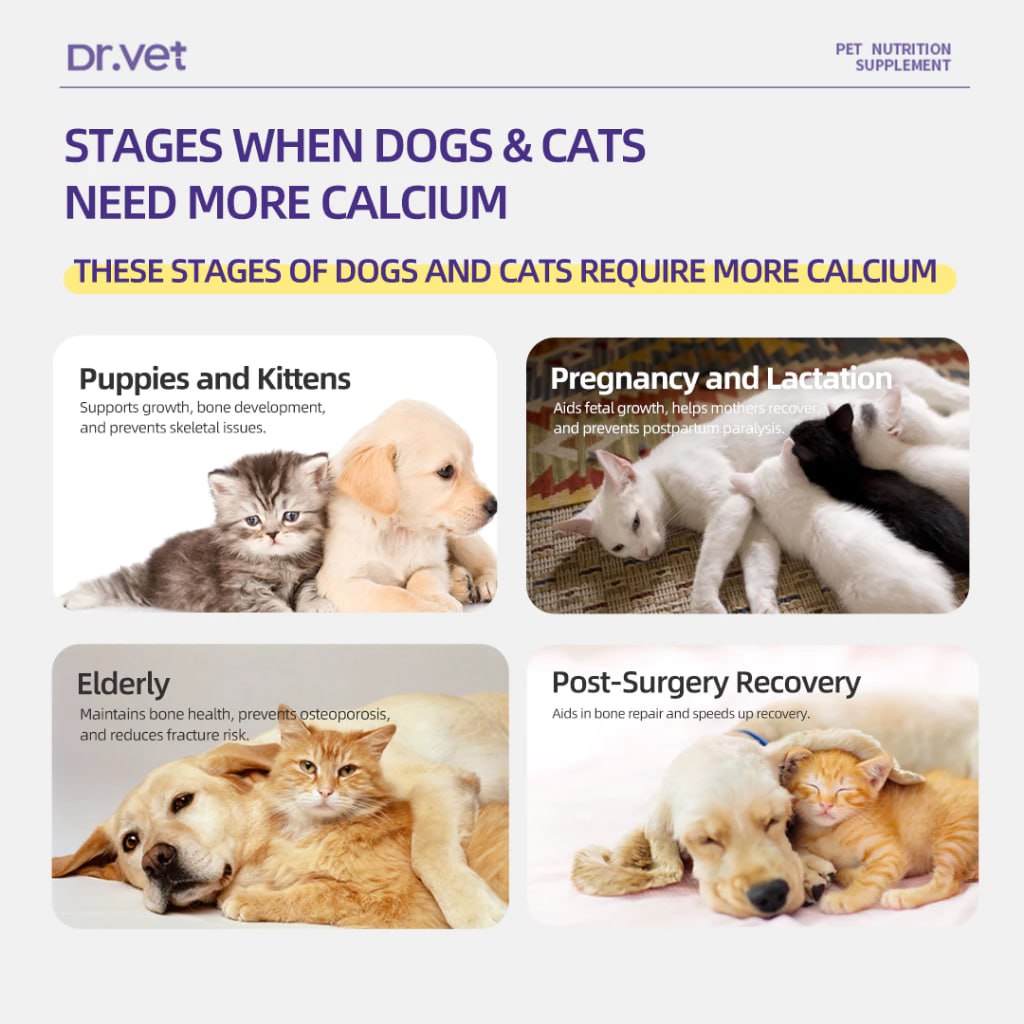 Dr.Vet Pet Calcium Tablets For Cats And Dogs (200 Tablets)