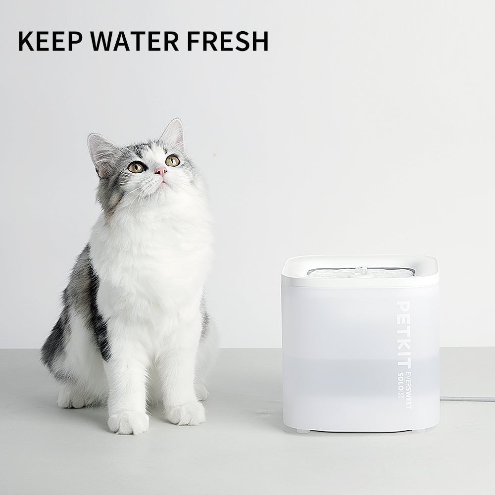 PETKIT Eversweet Solo SE Wireless Water Pump Water Fountain Cat Water Fountain Dog Water Fountain