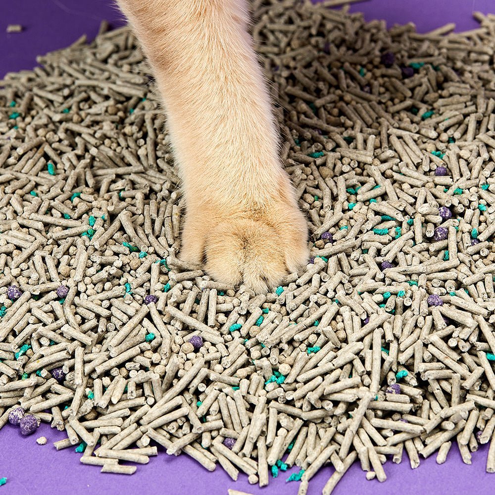 Flushable Clumping Cat Litters - 4 Bags
