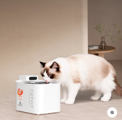 Eversweet Max 2 Pet Water Fountain Cordless