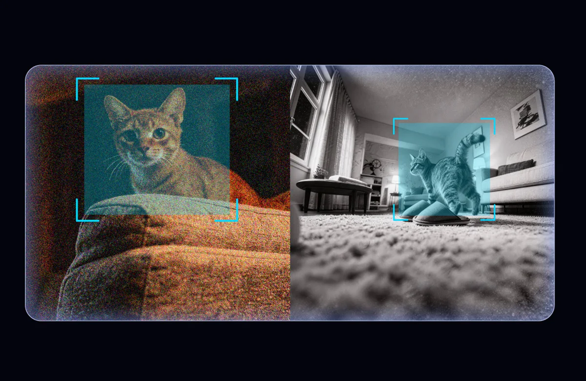 PETKIT AI accurately recognizing pets in low-light and infrared night-vision conditions, even during movement