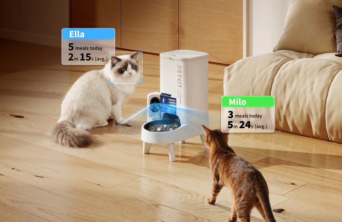 YUMSHARE SOLO 2 Automatic Cat Feeder showing AI camera monitoring multiple cats with facial recognition