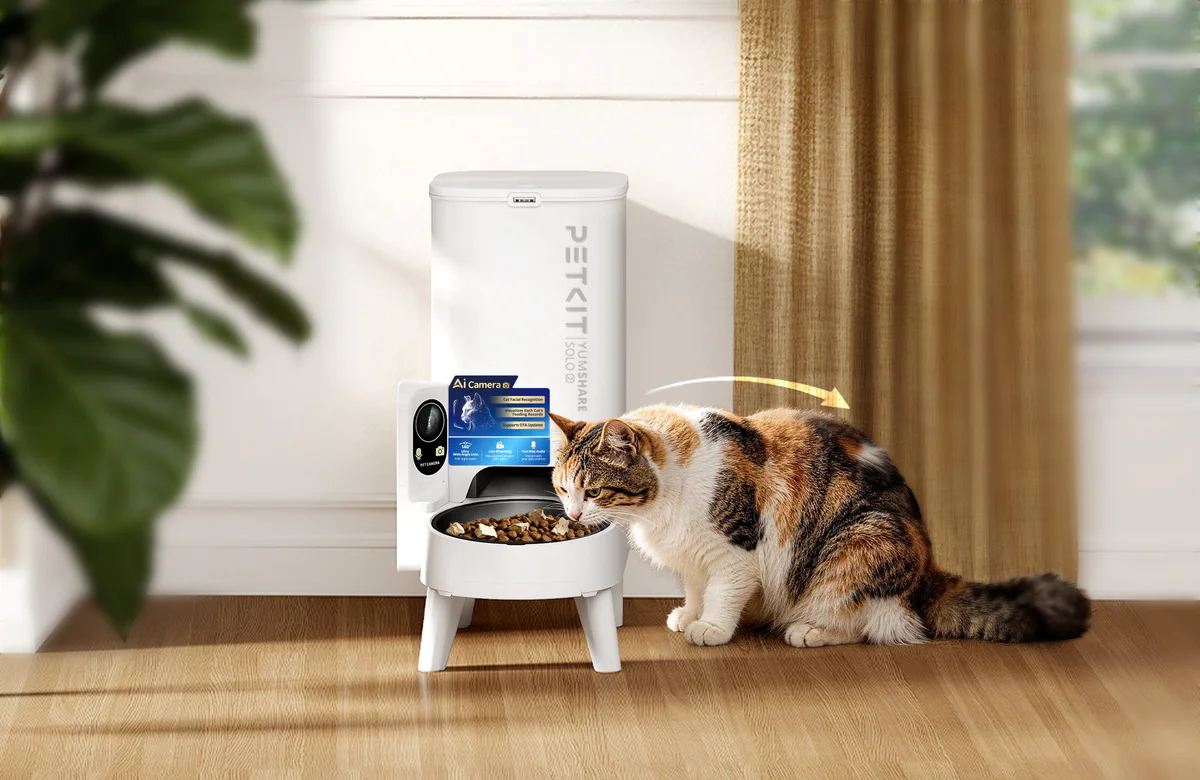 YUMSHARE SOLO 2 Automatic Cat Feeder with elevated stand for comfortable cat feeding posture