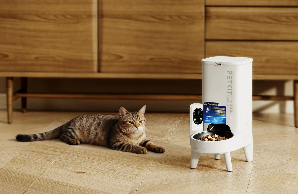YUMSHARE SOLO 2 Automatic Cat Feeder placed in a cozy home environment, showing practical use