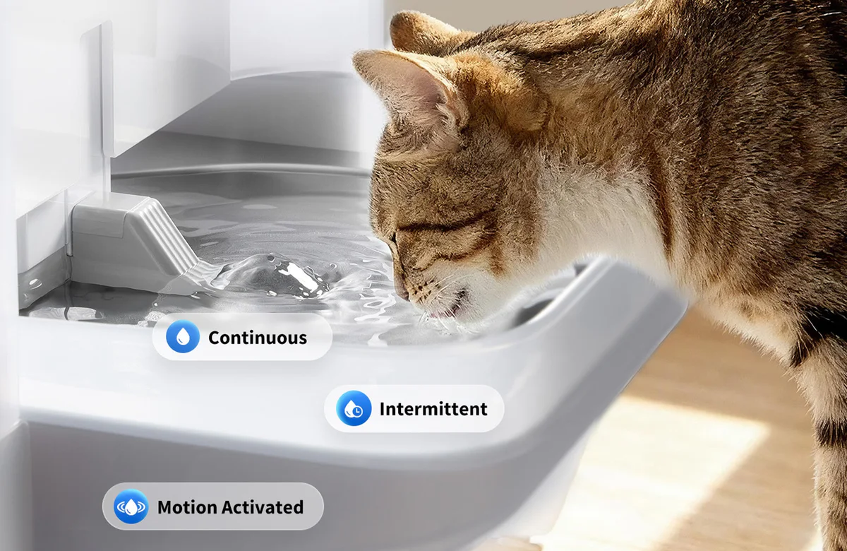 EverSweet Ultra Cat Water Fountain demonstrating SpringFlow gentle water stream that encourages pets to drink more